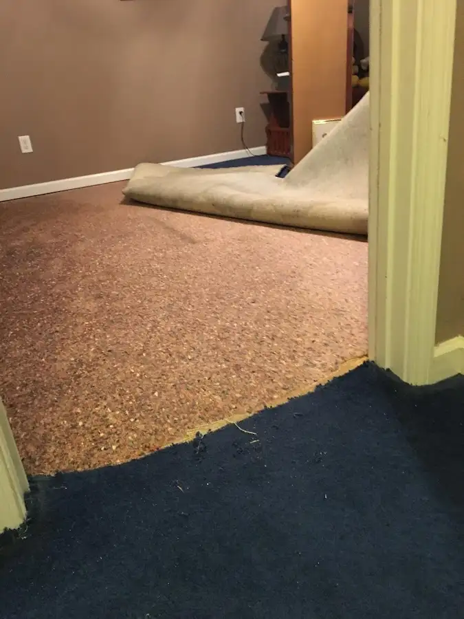 Carpet pad removal revealing water damage during Water Mitigation Services in Mantua